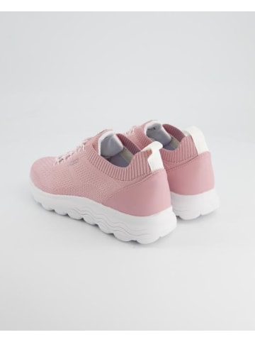 Geox Wanderschuhe in Rosa