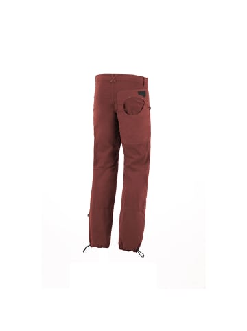 E9 M BLAT1-TT in Terra