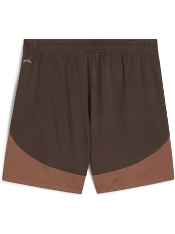 Puma Sporthose "FCSP Home Shorts Jr" in Braun