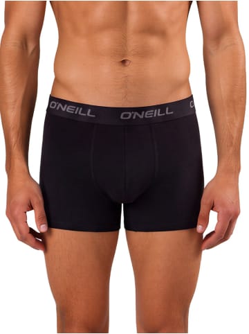Trunk Plain 6er Pack slim in Mehrfarbig