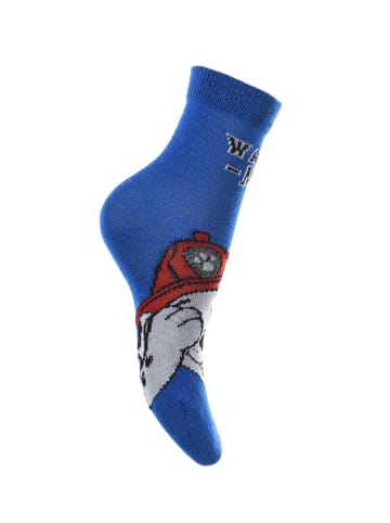 Paw Patrol 3er-Set: Socken Chase und Marshall Strümpfe in Mehrfarbig
