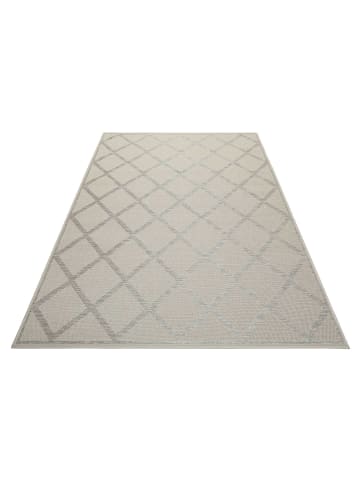 ESPRIT Teppich In & Outdoor Sparkle in beige grau