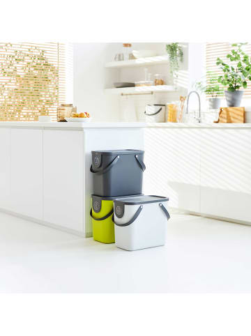 Rotho Albula Mülltrennungssystem 25l für die Küche in Limettengrün