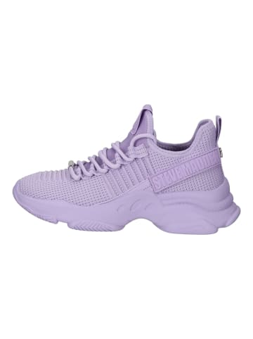 Steve Madden Sneaker in Lavender