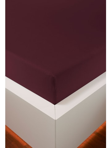bellana jersey Spannbetttuch Edel Zwirn-Jersey Elasthan in bordeaux