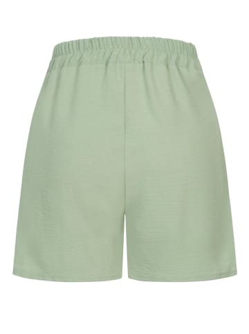 Cloud5ive Shorts in green