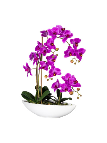 Creativ green Deko-Orchidee Phalaenopsis in lila