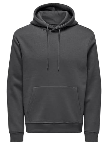 ONLY & SONS Sweatshirt / Hoodie Connor in Grey Pinstripe