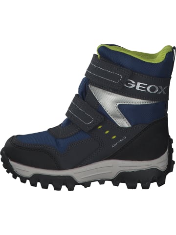 Geox Stiefeletten in navy/lime