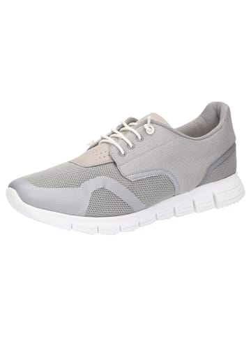 Sioux Sneaker Mokrunner-H-2024 in grau