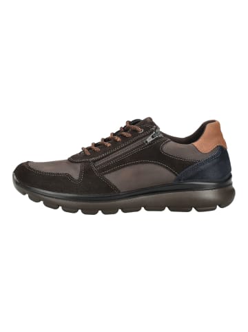Imac Halbschuhe in Kaffee