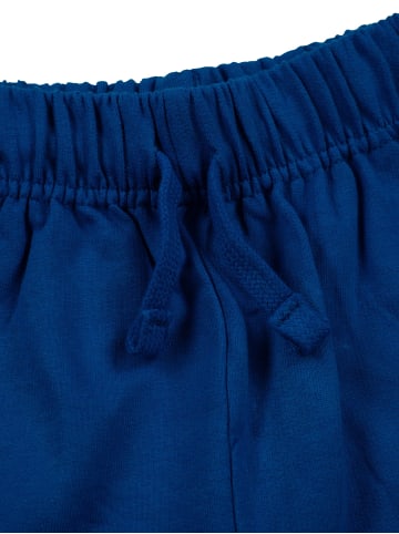 Paw Patrol Paw Patrol Shorts kurze Hose Trainingshose Bermuda in blau