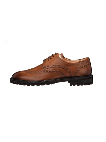 JOOP! Lace Up 'Pero Danilo Brogue in Cognac'