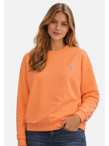 U.S. Polo Assn. P-034 in Lachs