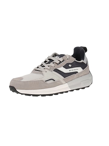 British Knights Sneaker low Veli in Grau