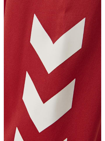 Hummel Hummel Sweatshirt Raglanärmel Hmlpromo Herren in TRUE RED