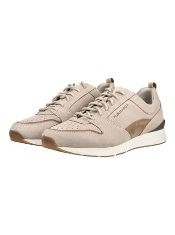 Pius Gabor Sneaker in Braun