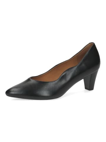 Caprice Pumps in Schwarz