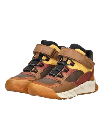 Geox Stiefelette in Braun