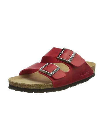 ROHDE Pantolette Alba 5631 in rot