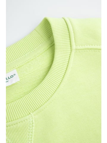 Coccodrillo Sweatshirt in limonengrün
