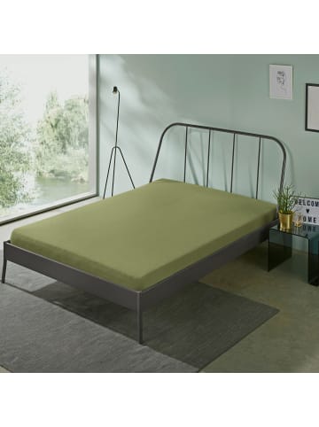 Erwin Müller Single-Jersey Spannbettlaken Bamberg in grün