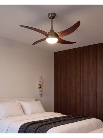 Beliani 2-tlg Deckenventilator mit Licht CHACANA in Messing/Braun