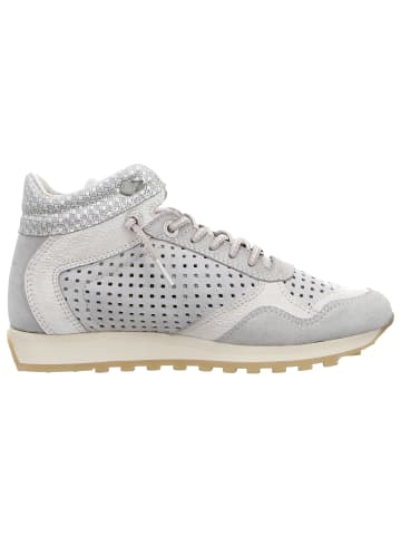 Cetti Sneaker in beige