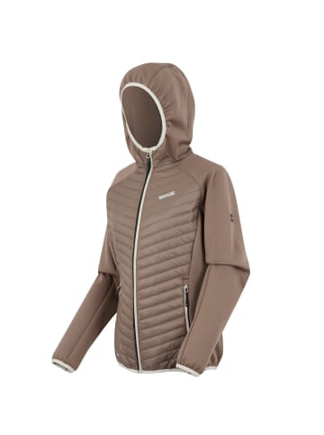 Regatta Andreson Hybrid Softshelljacke in Braun