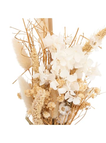 Atmosphera Créateur d'intérieur Getrocknete Blumen in mehrfarben