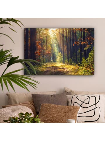 MuchoWow Leinwand Bilder Waldpfad