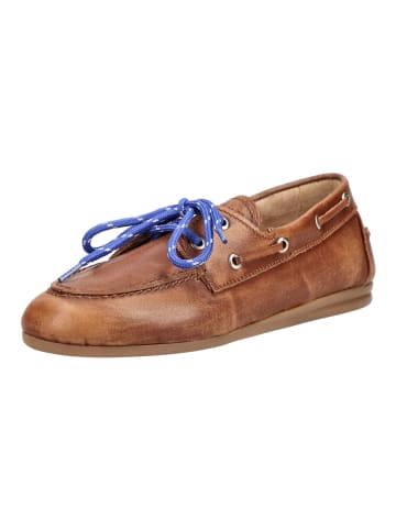 Pavement Halbschuhe in Braun/Blau