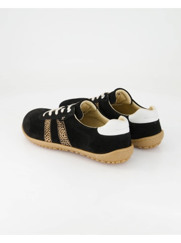 KOEL Sneaker low in Schwarz