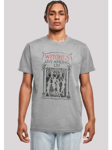 F4NT4STIC T-Shirt Phantastische Tierwesen Witches Live Among Us in grau meliert