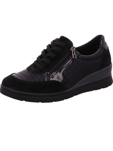 ACO Schnürhalbschuh in schwarz