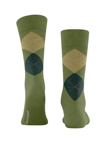 Burlington Edinburgh Socke in Jade