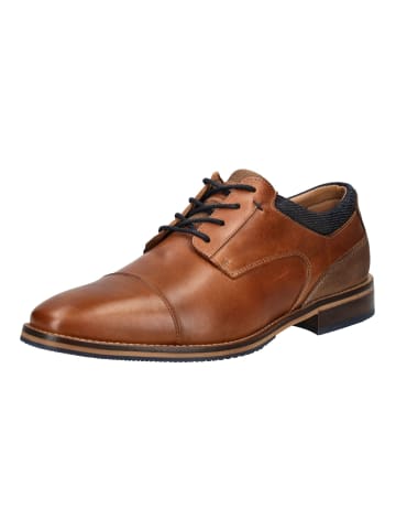 Bullboxer Businessschuhe in Cognac