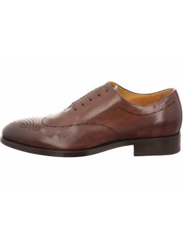 LANCIOR Schnürschuhe in dunkelbraun
