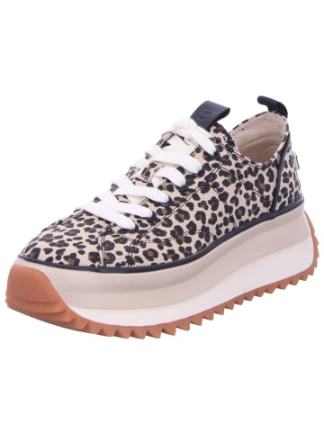 Tamaris Schnürschuh in LEOPARD