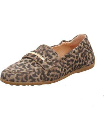 Floris van Bommel Slipper in beige