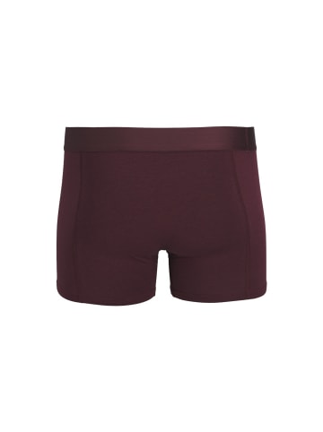 Jack & Jones Unterwäsche in Port Royale