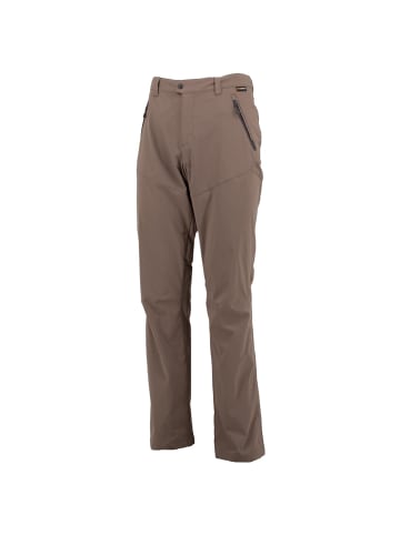 Jack Wolfskin Hose Activate Light Pants Reg UV in Grau