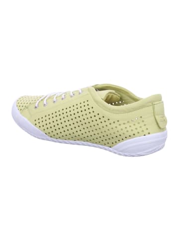 Andrea Conti Sneaker Low in grün