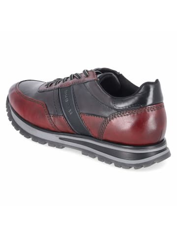 Bugatti Schnürhalbschuh in red