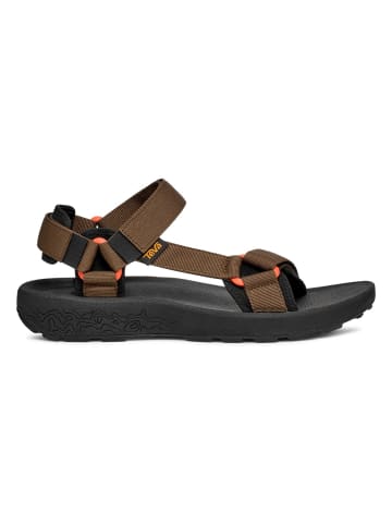 Teva Sandalen Hydratrek in desert palm