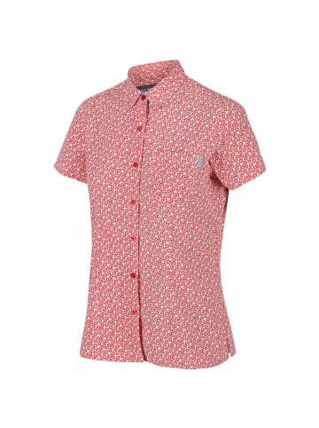 Regatta Wanderbluse Mindano VII in RedSkyPrint