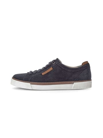 Pius Gabor Sneaker low in blau