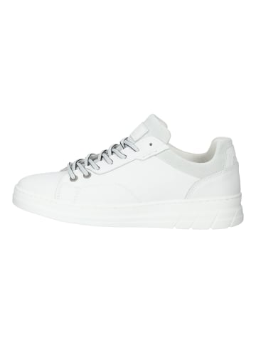 Bullboxer Sneaker in Weiß