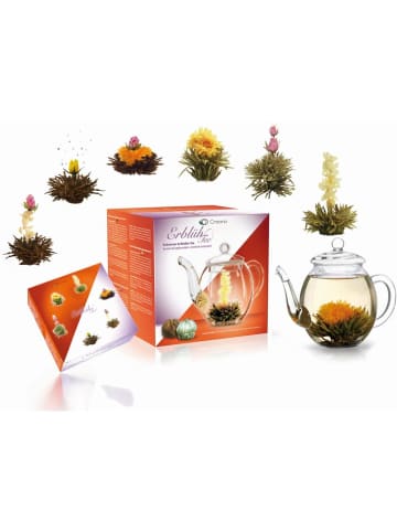 Creano Tee Set: 6 Teeblumen "ErblühTee Weißer und Schwarzer Tee" + 1 Teekanne 500ml