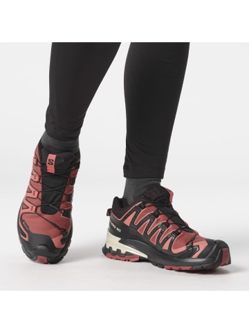 SALOMON Trailrunning-Schuh XA PRO 3D V9 GTX in cow hide/black/faded rose